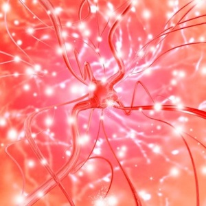 Фото: на что влияют гормоны