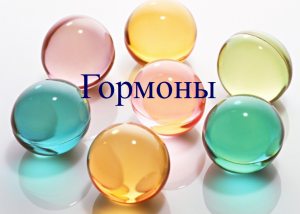 Фото: что делают гормоны