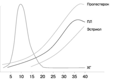 Фото: Значение эстриола в беременности
