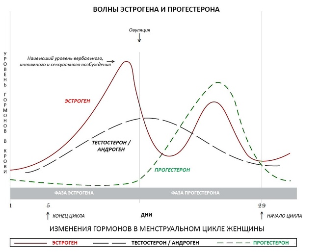 Фото: Изменение уровня тестостерона у женщин