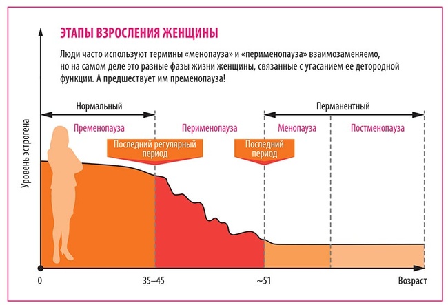 Фото: Как уровень эстрогенов меняется в течение жизни женщины?