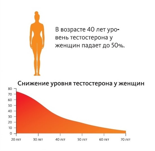 Фото: Понижение тестостерона у женщин
